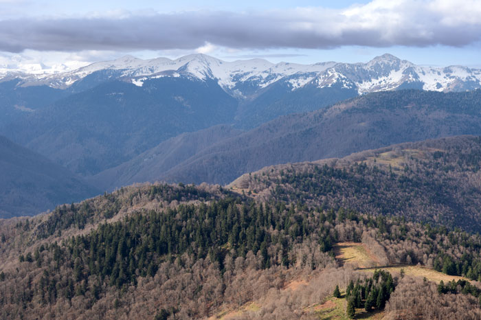 Vue du sommet du Tourroc au printemps