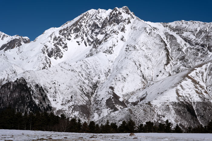 Arbizon fin mars 2025