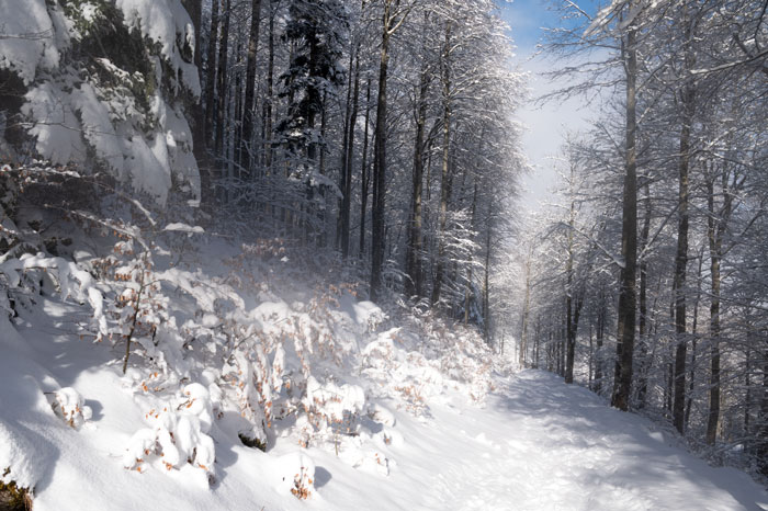 Comminges - Barousse - Cagire