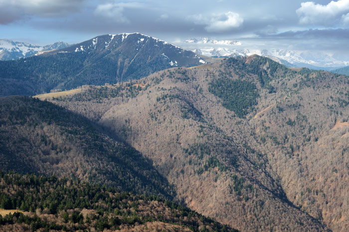 La Barousse au printemps