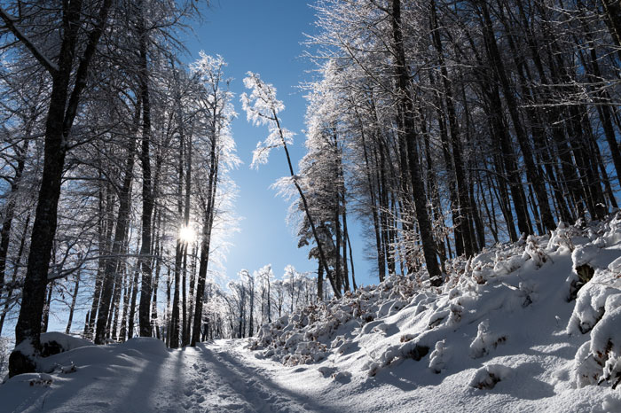 Chemin de randonnée vers le Tourroc en hiver