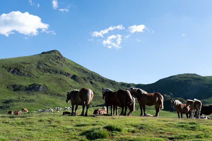 Randonnée pour l'Entecade