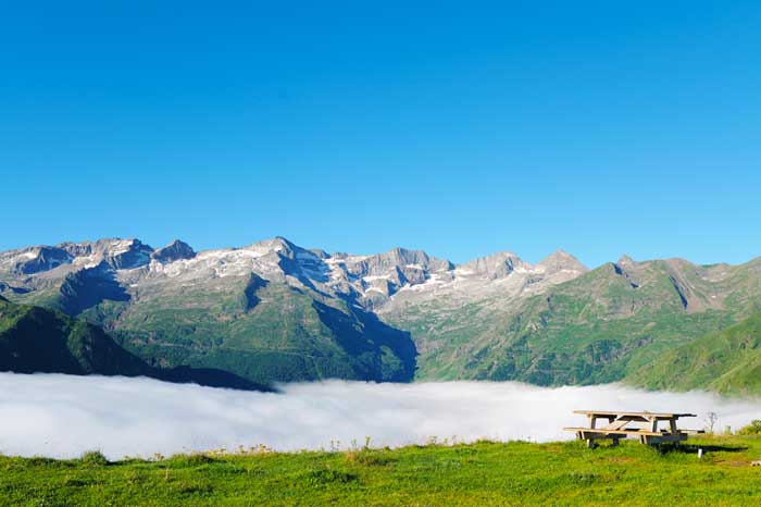 Vaches sur les chemin qui mène vers le pic de Céciré