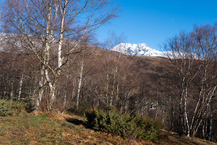 Forêts de Saint Lary Soulan