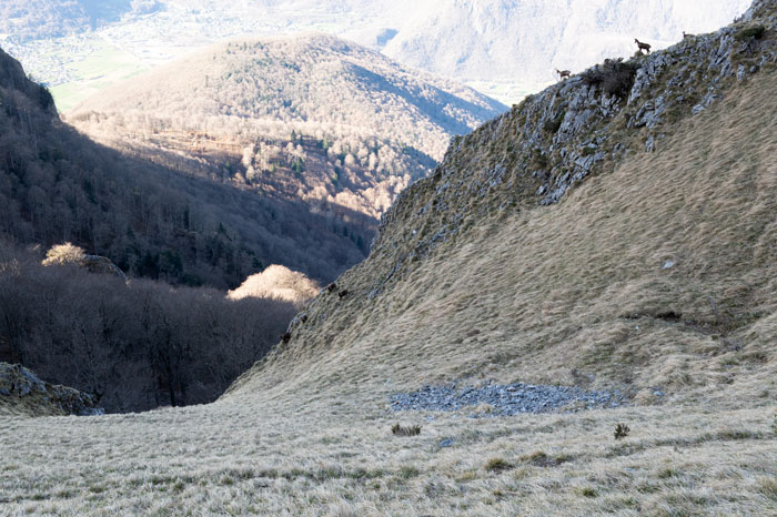 Randonnées vers le pic du Gar