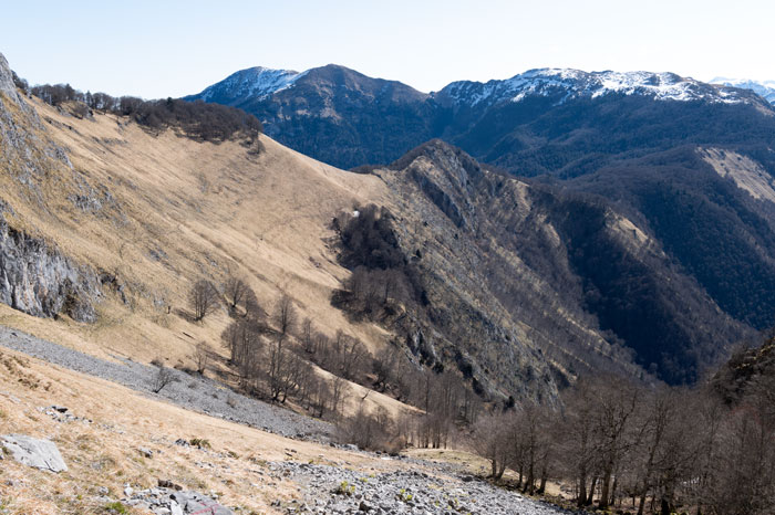Montagne des Pyrénées
