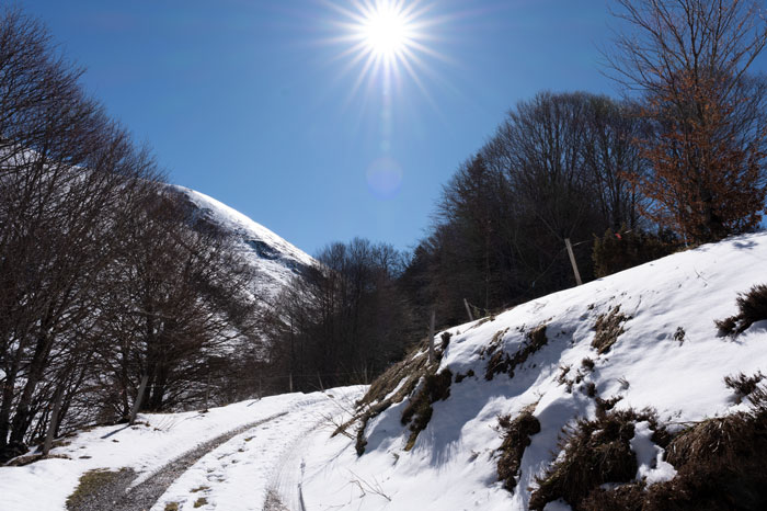 Montée vers Hospice de France
