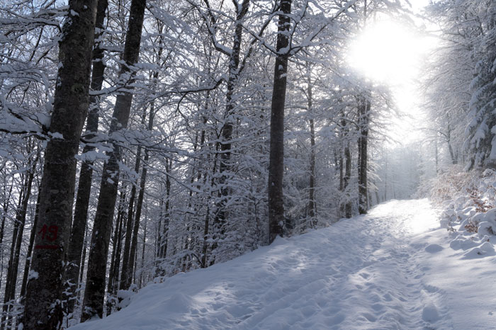 Neige de printemps au Tourroc