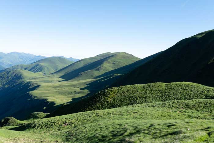 Paturages sur le sentier qui mène au Soum de l'Escalette