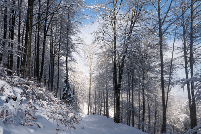 Les Pyrénées en hiver