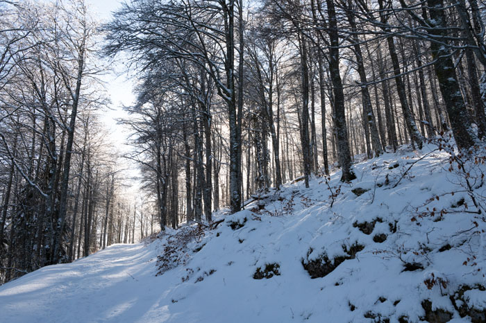 Les Pyrénées dans la neige - le Tourroc
