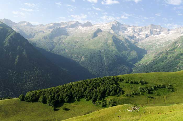 Sur le chemin du col de la Coume