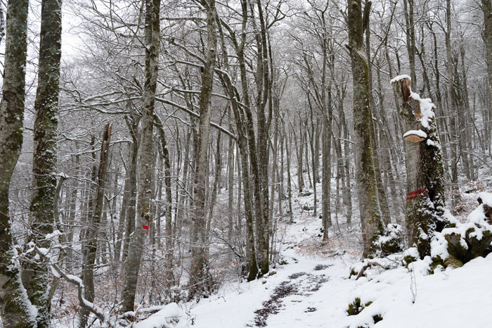 Sentier de randonnée sur le Tourroc