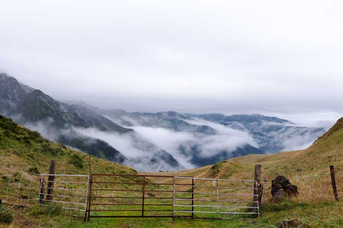 Estive sur la chemin de l'Entecade - Hospice de France