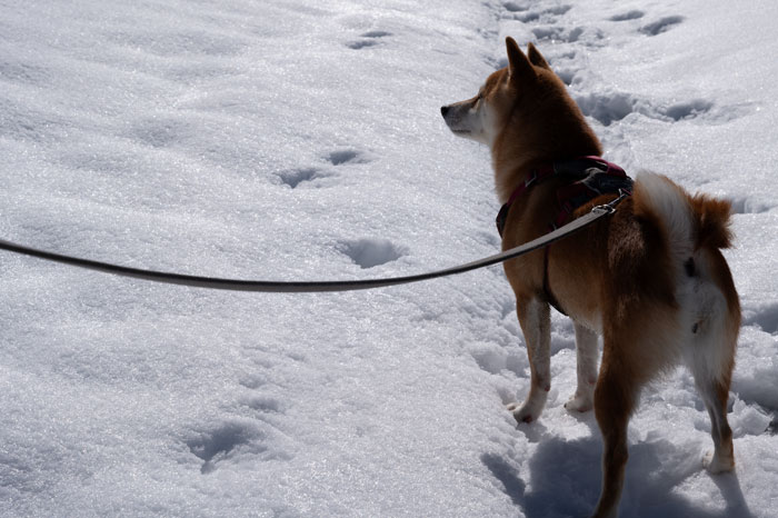 Randonnée Luchon - Hospice