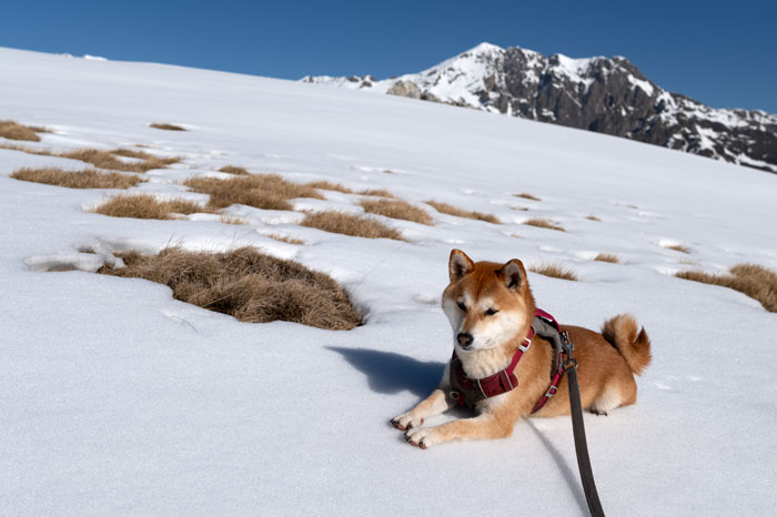 Randonnée vers le Cap de Pède et les granges de Grascouéou