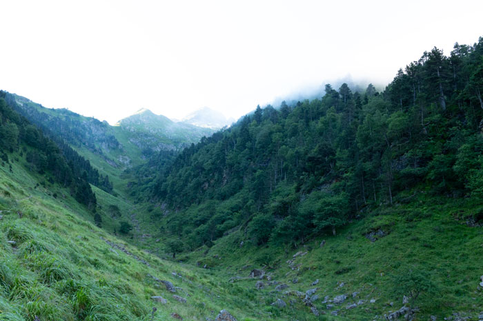 La vallée du Lys tôt le matin