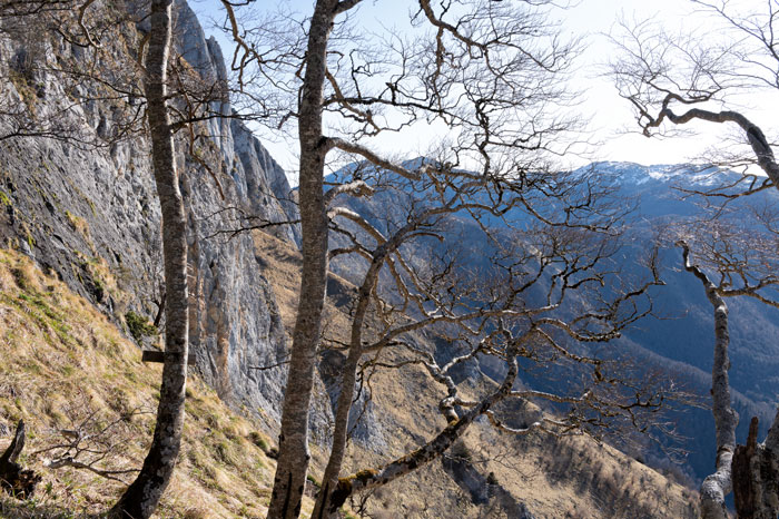 Vers le col de Teyech